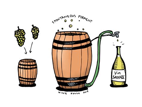 What's Up With Wild Fermentation in Wine? | Wine Folly