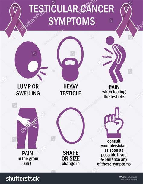 Testicular Cancer Symptoms Infographics Pictogram Icons Stock Vector | The Best Porn Website