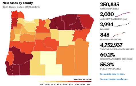 Oregon again sets COVID-19 record, with 2,971 cases; Gov. Brown warns ...