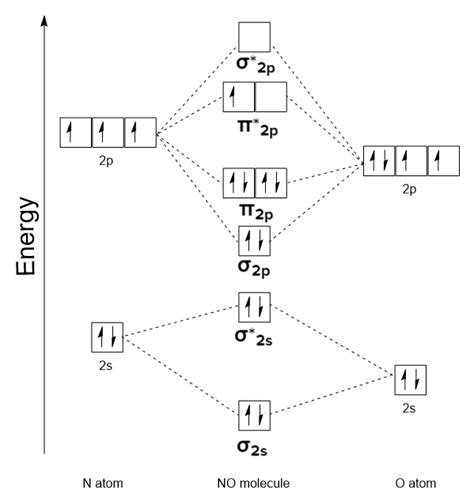 15+ Molecular Orbital Diagram Cn- - PatriciaNafisa