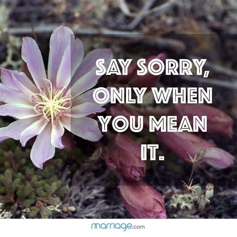 12 Best I Am Sorry Quotes - Inspirational I Am Sorry Quotes & Sayings