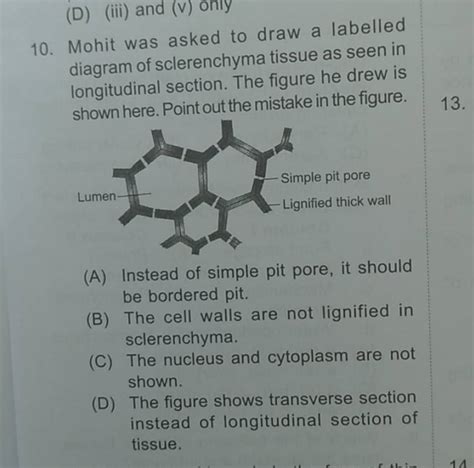 Mohit was asked to draw a labelled diagram of sclerenchyma tissue as seen..
