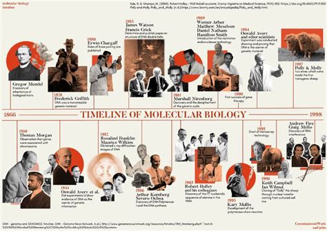 molecular biology: a timeline | Timeline infographic design, Timeline design, History design