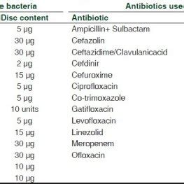 Which Antibiotics Work Best on Gram-negative Bacteria - Angelina-has-Ayala