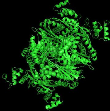 3D structure of HMG CoA reductase | Download Scientific Diagram