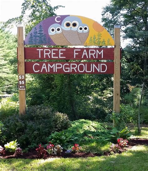 Tree Farm Campground - Home