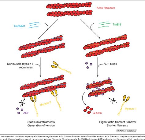 Protein Chemistry | Semantic Scholar