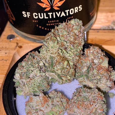 Strain Review: Melonade by SF Cultivators - The Highest Critic