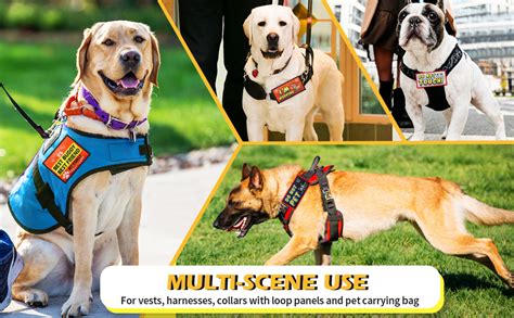 Amazon.com: KAKALUOTE 9 Pieces Service Dog Patch, Removable Service Dog Vest Patches, Embroidery ...