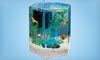Tetra Desktop Aquarium Kit | Groupon Goods