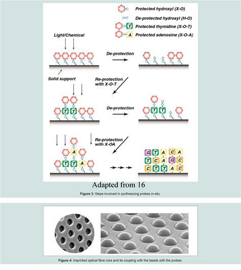 Figure 4 from Microarray Based Genotyping : A Review | Semantic Scholar