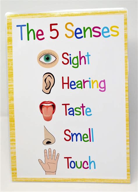 Buy kids2learn THE FIVE SENSES A4 Sign Educational Nursery SEN Children ...