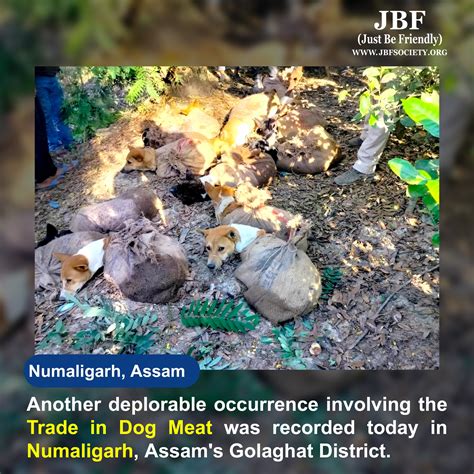 CASE OF DOG MEAT TRADE, NUMALIGARH, ASSAM – JBF