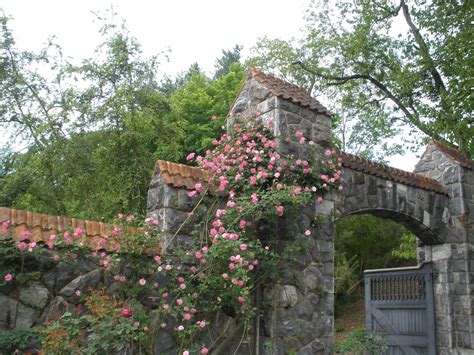 Biltmore Estate Gardens | Estate garden, Biltmore estate, Garden arch