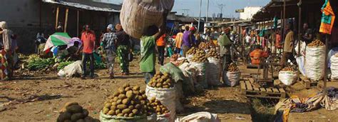 More potatoes - Secure food in Burundi