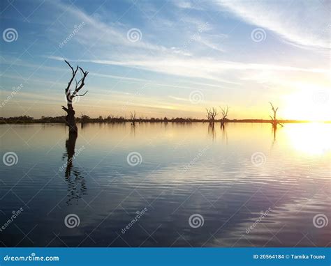 Murray River Sunset stock photo. Image of peaceful, bonny - 20564184