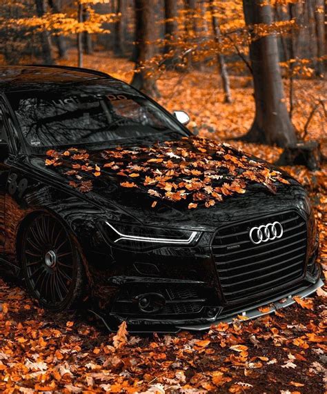 a black car covered in leaves sitting on the ground