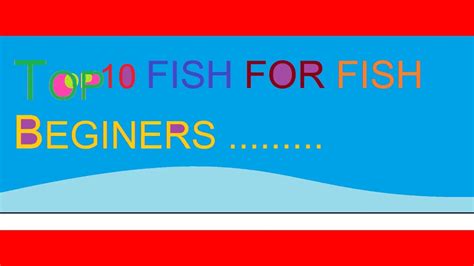 Best Hardy Fish FOR Beginners. |Top 10 Aquarium Fish For Beginners ...