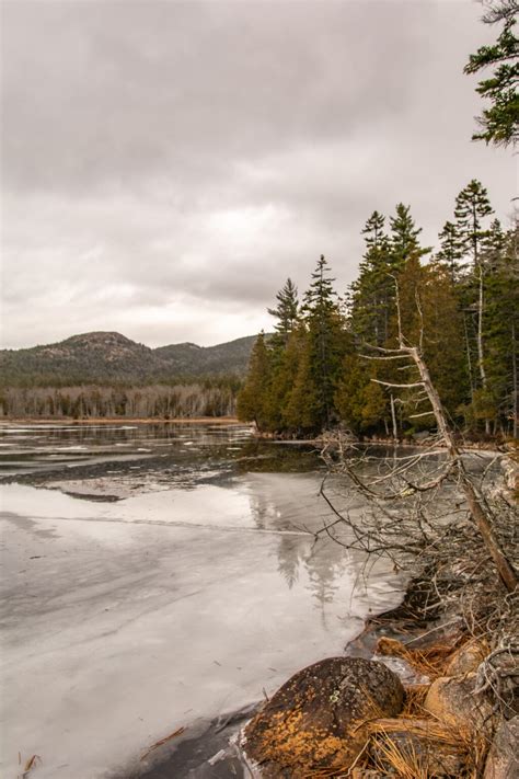 Visiting Acadia National Park In Winter: The Ultimate Guide