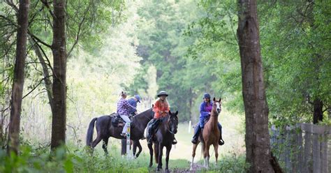 The Florida Horse Park: Ocala's Jewel | VISIT FLORIDA