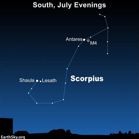 Scorpius the Scorpion is a summertime delight