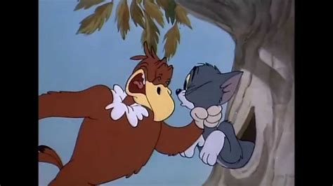 Tom and Jerry, 21 Episode - Flirty Birdy (1945) - YouTube