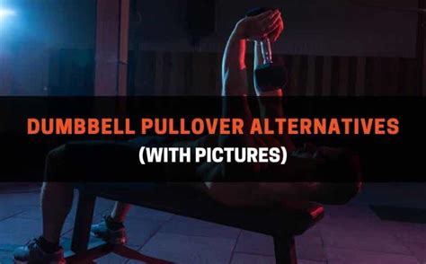 8 Best Dumbbell Pullover Alternatives (With Pictures ...