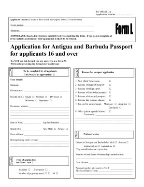 Passport Form Templates - Fillable & Printable Samples for PDF, Word | PDFfiller