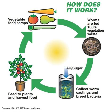 Horticulture: Composting