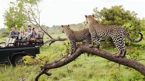 Limpopo Province, South Africa. Dream of experiencing a great Safari adventure! ‪#‎Travel ...