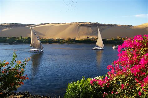 Kitchener's Island, Aswan, Egypt. | Feluccas on the Nile. | Flickr