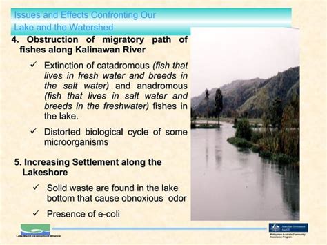 The Lake Mainit and Its Watershed | PPT