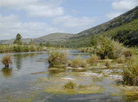 Devils River NFCA | Native Fish Conservation