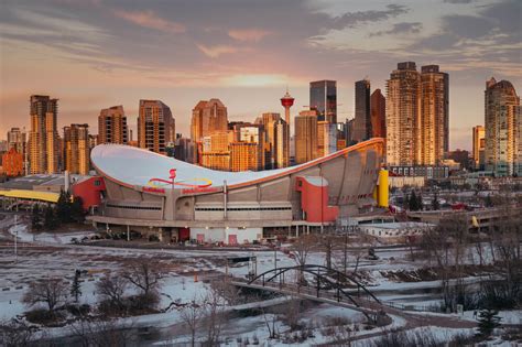 Calgary Tower - Tree Removal Calgary