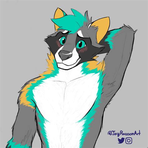 Flustered Raccoon (Art by me) : r/furry