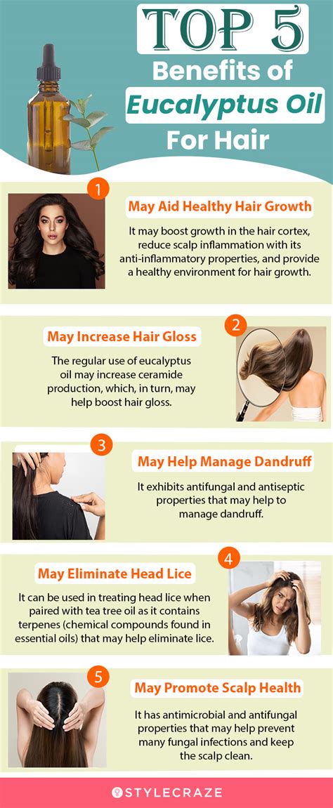 Eucalyptus Oil For Hair – How To Use It And Side Effects