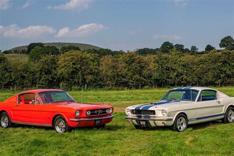 Mustang Fastback Vs Coupe: Which One Should You Choose? 2024 » Drive Away with AutomotiveFox!