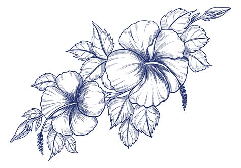 hand tekenen bloem - Download Free Vectors, Vector Bestanden, Ontwerpen ...