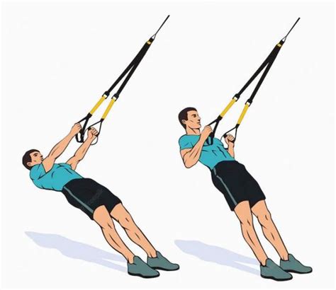 TRX Inverted Row Exercise Guide • Bodybuilding Wizard