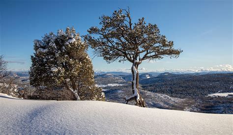 5 Things To Do In Winter At Zion National Park | Zion Ponderosa