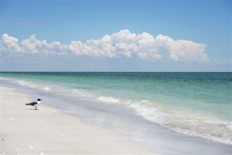 12 Prettiest Beaches In Southwest Florida - Florida Trippers