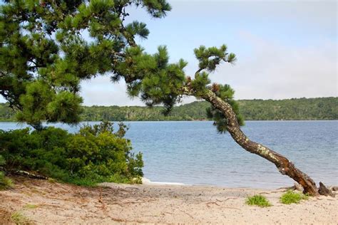 Nickerson State Park In Brewster, MA | America's State Parks