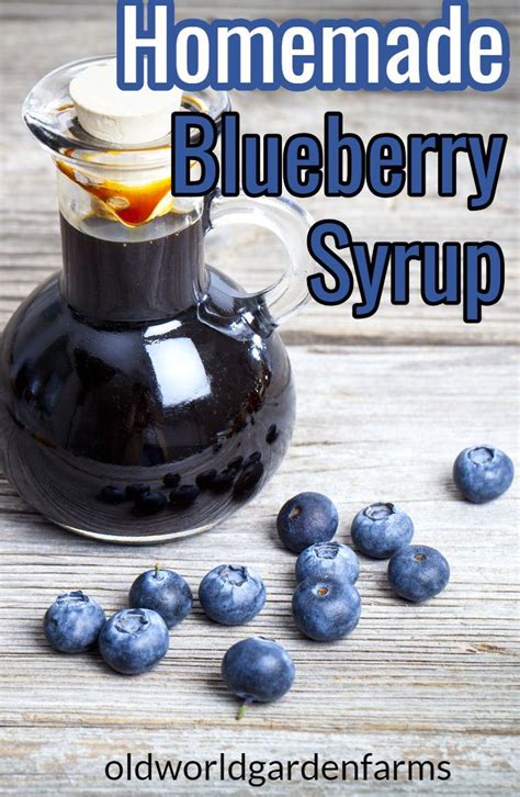 Blueberry Syrup Recipe Fresh or Canned-With A Sugar Free Option | Recipe | Homemade syrup ...