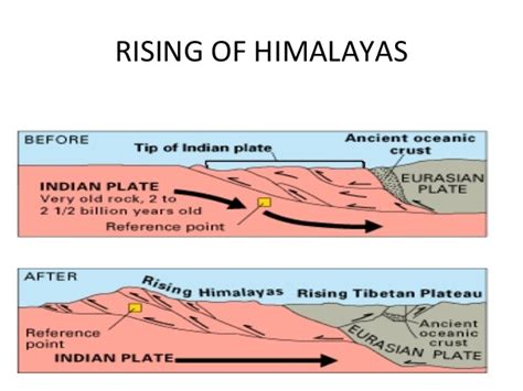 draw a digram of the formation of Himalaya - Brainly.in