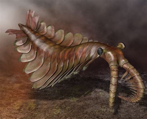 1.1 Cambrien Anomalocaris Londres :Maquetland.com:: Le monde de la maquette