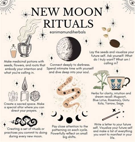 9 Things You Should (and Should Not!) Do During a New 🌑 Moon | Spell ...