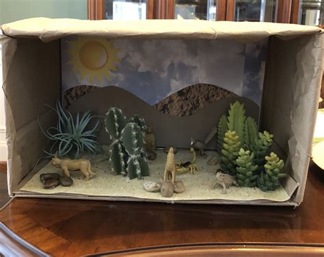 Desert Biome Diorama