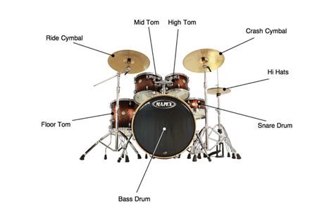 Are Floor Tom and Low Tom refering to the same drum - Music: Practice ...