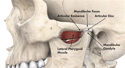 Most of the votes went for non-surgical management of TMJ, followed by ...