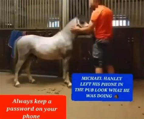 Michael Hanley Horse Video Twitter, Watch Michael Henley The Viral Horse Video Full - NAYAG Today